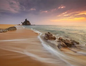 教育体系大革新