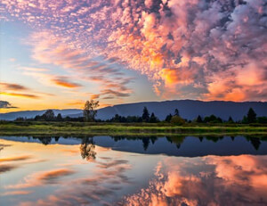 认知捷径 加速失败