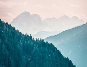 良家子 正在快速消失