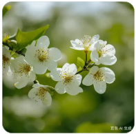 不明觉厉，祖『奶』『奶』可否为曾孙儿解『惑』