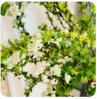 一个不可描述的真理:老实人等靠要，黄毛直接占领“高地”！