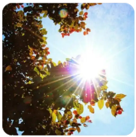 规则束缚凡人，权力掌控潜规，利益维系关系，价值决定人脉。