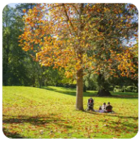 大多数人的友情只是“环境绑定”的假朋友！