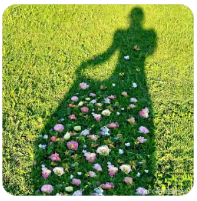 认知捷径 加速失败