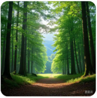 如何扩展自己的长处呀？