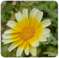 只要没有期望，就不会有失望