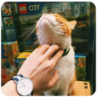 一个不可描述的真理:老实人等靠要，黄毛直接占领“高地”！