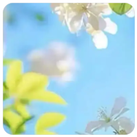 喜欢说实话、真情流露的人，往往穷困潦倒，紧衣缩食！擅于包装自己，说漂亮话的人，总是能赚得盆满钵满，吃香喝辣！