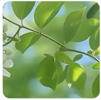 只要没有期望，就不会有失望