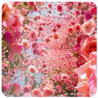 喜欢说实话、真情流露的人，往往穷困潦倒，紧衣缩食！擅于包装自己，说漂亮话的人，总是能赚得盆满钵满，吃香喝辣！